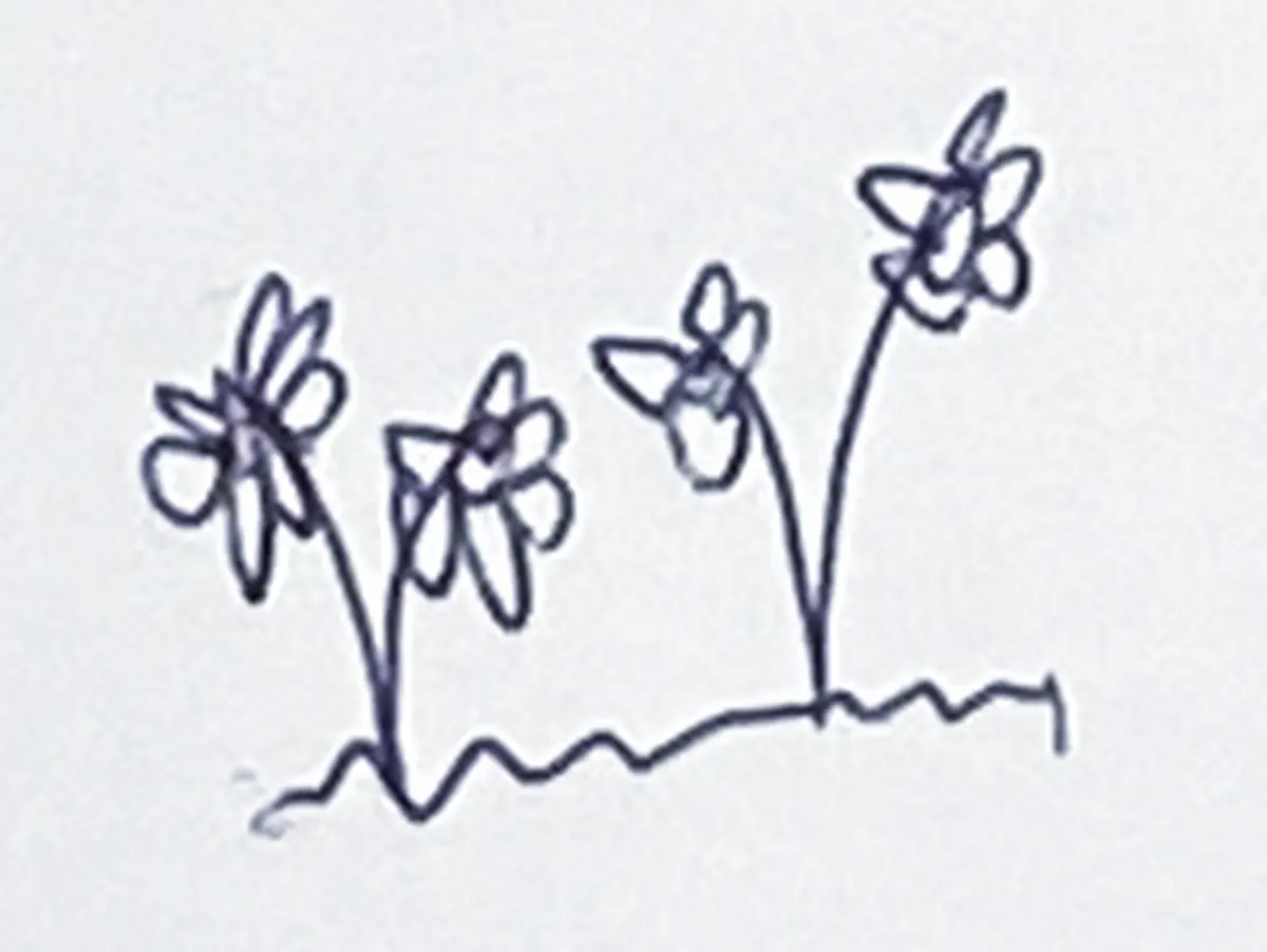 Abundance of flowers welcoming everyone a 